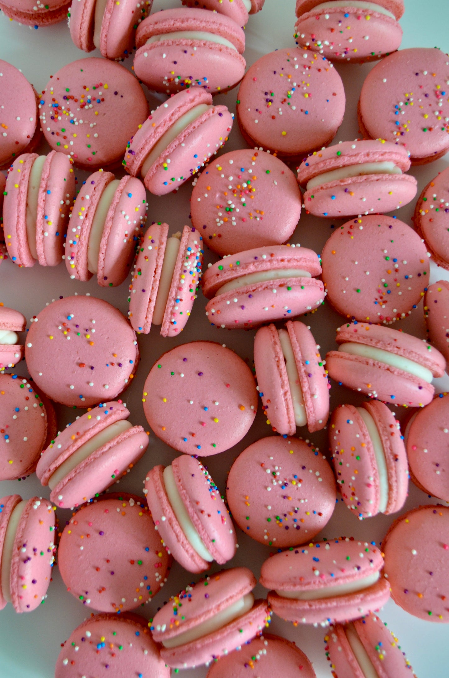 6 Pack of Circus Animal Macarons - 2025 March Macness Winner